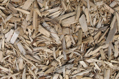 biomass boilers Kedlock